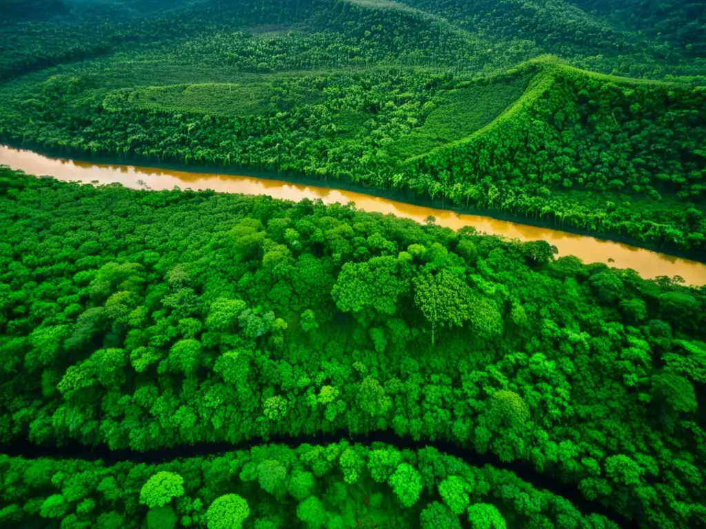 Vista aérea impactante: selva exuberante frente a fiebre del oro, evidenciando el impacto social y ambiental